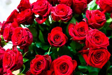Taze kesilmiş kırmızı güllerden oluşan canlı bir düzenleme zengin renklerini ve narin taç yapraklarını sergiliyor. Bu gösteri kutlamalar için mükemmel..