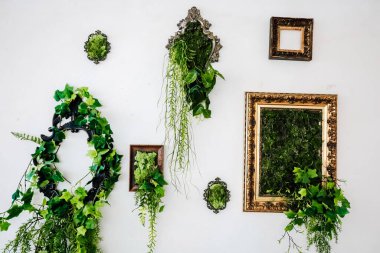 Yeşillik sanatsal olarak beyaz bir duvarda dekoratif çerçevelerle düzenlenir. Kapalı bir ortamda canlı bir atmosfer yaratır..