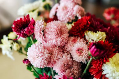 Vazodaki pembe kırmızı ve beyaz çiçekleri de içeren renkli çiçekler iyi ışıklandırılmış bir ortamda canlı bir süs oluşturur..