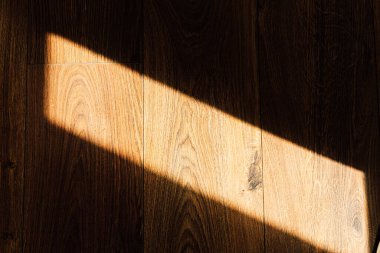 Yumuşak doğal ışık bir pencereden süzülüp parlayan ahşap zeminde belirgin bir gölge oluşturarak uzayın sükunetini arttırır..