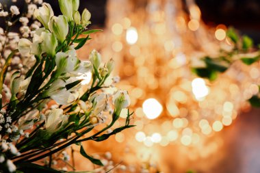 Narin beyaz çiçekler ön planda parlarken ışıldayan bir avize arka planda sıcak, zarif bir parıltı saçar..