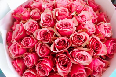 Göz kamaştırıcı pembe gül koleksiyonu dekoratif bir ambalaj kağıdı doldurur. Zarif taç yapraklarını ve yemyeşil düzenlemelerini sergiler. Hediye için mükemmeldir..