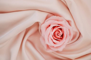 Güzel pembe bir gül yumuşak taç yapraklarını ve narin doğasını vurgulayan bej kumaşa dayanır ve bir huzur hissi uyandırır..