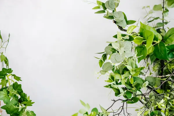 Yemyeşil yapraklar parlak bir odada sakin bir atmosfer yaratır. Tarafsız bir arka plan, güzelliği ve huzuru ön plana çıkarır..