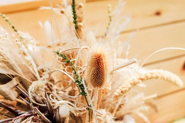 Kurumuş çiçekler ve otlar zarif bir şekilde dekoratif bir şekilde düzenlenir sıcak ahşap bir arka plana karşı sakin bir ortam yaratır..