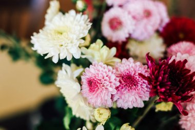 Değişik renklerde canlı çiçekler, kapalı bir alanda güzel bir şekilde düzenlenir. Doğanın özünü yakalayarak çiçek açarlar..