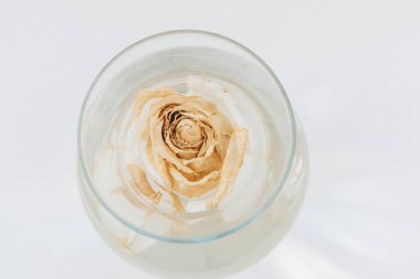 Hassas, kurumuş bir gül, berrak suyun yüzeyinde, sakin bir atmosferi yansıtan basit bir camda saklıdır..