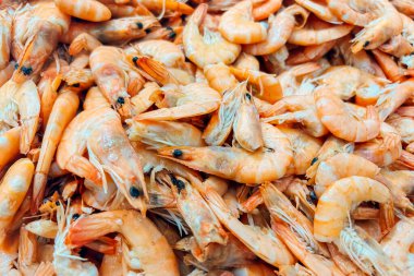 Deniz ürünleri pazarında büyük miktarlarda turuncu karides üst üste yığılır ve sıcak güneşin altında tazeliklerini sergilerler..