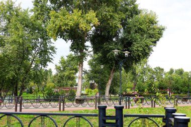 Canlı bir şehir parkında açık bir gökyüzünün altında uzun ağaçlar yürüyüş yolları ve sokak lambaları bulunur. Ziyaretçiler sakin açık havanın tadını çıkarıyorlar..