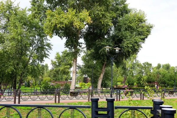 Canlı bir şehir parkında açık bir gökyüzünün altında uzun ağaçlar yürüyüş yolları ve sokak lambaları bulunur. Ziyaretçiler sakin açık havanın tadını çıkarıyorlar..