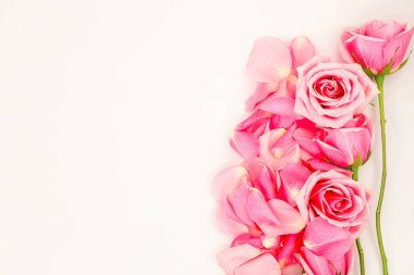 Taze koparılmış pembe güller ve düşmüş yapraklar narin güzelliklerini gösteren yumuşak bir arka planda zarif bir görüntü oluşturur..