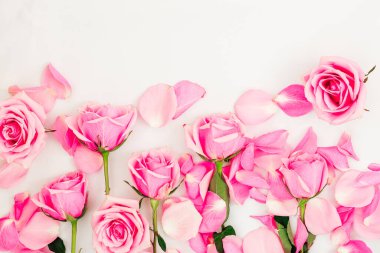 Canlı yaprakları olan narin pembe güller her durum için mükemmel beyaz bir arkaplan karşısında güzelce düzenlenir..
