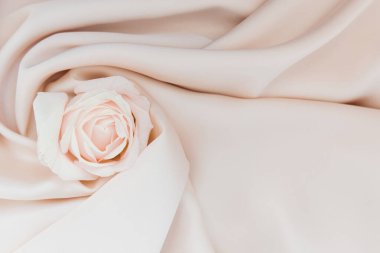 Yumuşak pembe bir gül yumuşak krem kumaşın üzerine nazikçe yerleştirilir ve rahatlatıcı ve romantik bir ortam yaratır..