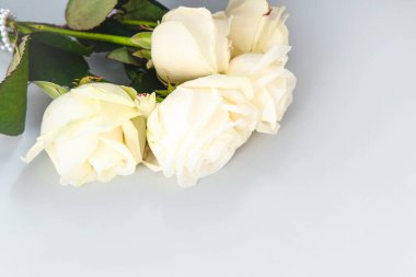 Zarif beyaz güller özenle saf güzelliklerini ve zarafetlerini sergileyen pürüzsüz gri bir yüzeyde sergilenir..