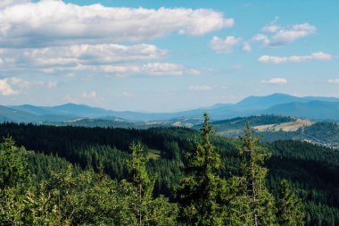 Karpatlar dağları, güneşli bir günde kabarık bulutlarla dolu açık mavi gökyüzünün altında geniş ormanlarla birlikte yükselir..
