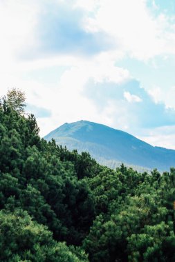 Görkemli bir dağ yeşil ormanların arka planına ve parçalı bulutlu gökyüzüne doğru yükseliyor. Doğa gün ışığında güzelliğini sergiler..
