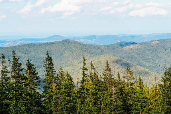Vast mountains covered in greenery stretch into the distance under a clear blue sky showcasing natural beauty and tranquility.