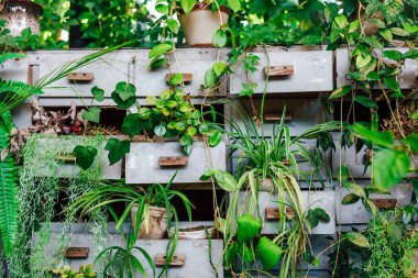 Yaratıcı bir dikey bahçe yeniden tasarlanmış ahşap çekmecelerden taşan çeşitli bitkileri sergiliyor. Bu iç mekan yeşillik ve hayat dolu..
