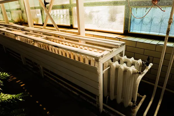 Kapalı bir ısıtma sistemi, duvarlar boyunca beyaz kaloriferler ve pencerelerden süzülen doğal ışık sayesinde sıcak bir atmosfer yaratıyor..