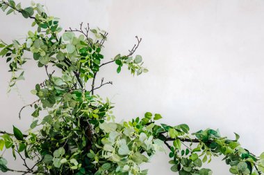 Yapay yapraklar, sade bir duvara karşı boşluğu doldurur. Rahatlatıcı ve taze bir iç ortam yaratır..