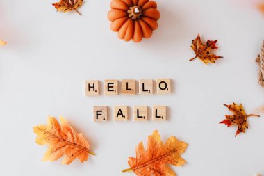 Merhaba demek için ahşap bloklar düzenlenmiş canlı sonbahar yaprakları ve mevsimsel bir dekorasyon oluşturan küçük bir balkabağı ile çevrili düşüş.