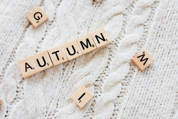Деревянные буквы плитки расположены, чтобы сформировать слово осень на теплый текстурированный свитер крем. Мягкая ткань обеспечивает сезонный вид.