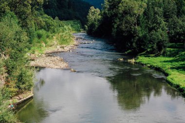 Sakin bir nehir, güneşli bir öğleden sonra kıyı şeridi boyunca ağaçlar ve kayaları yansıtan yemyeşil bir bölgede kıvrılır..