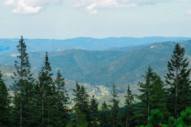 Yüksek çam ağaçları yaz boyunca açık mavi bir gökyüzünün altında yuvarlanan tepe ve vadilerden oluşan nefes kesici bir manzara oluşturuyor..