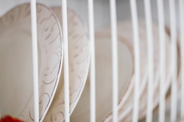 Parlak renkli tabaklar bir bulaşık rafında güzelce yıkandıktan sonra kurutuluyor. Dairesel tasarım mutfağa cazibe katıyor..