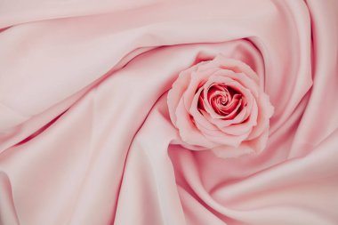 Yumuşak pembe bir gül zarif pastel kumaşın üzerine yerleştirilmiştir. Sakin ve romantik bir hava yayar..