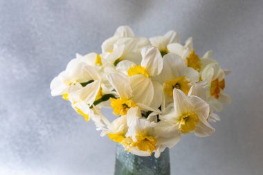 Beyaz ve sarı nergislerden oluşan büyüleyici bir buket cam bir vazoda, narin, gri bir zemin üzerinde sergileniyor..