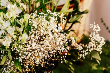 Zarif beyaz çiçeklerin çarpıcı bir düzeni yemyeşil bir zemine karşı duruyor ve gün ışığında sakin bir atmosfer yaratıyor..