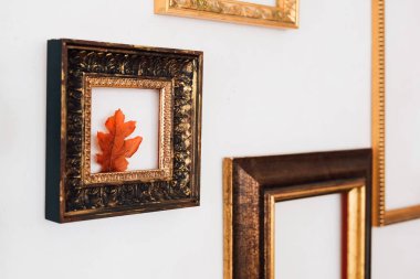 Küçük dekoratif bir çerçevedeki canlı bir sonbahar yaprağı daha büyük duvar çerçevelerini geliştirerek sıcak sanatsal bir ortam yaratır..