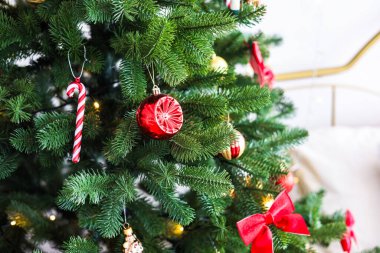Güzel dekore edilmiş Noel ağacına asılı renkli süsler ve bastonlar sıcak bir oturma odasında bayram ruhunu kutluyorlar..