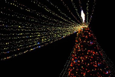 Parıldayan ışıkların canlı bir gösterisi büyük bir Noel ağacını süslüyor. Gün batımından sonraki kış kutlamalarında neşeli bir atmosfer yaratıyor..