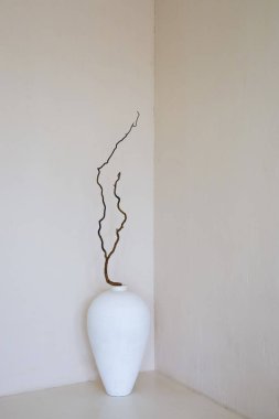 Beyaz bir vazo ince bükülmüş bir dal tutar ve basit bir oda köşesine doğanın dokunuşunu ekler. Yumuşak pastel duvarlar dekoratif parçayı ön plana çıkaran sakinleştirici bir atmosfer yaratır..