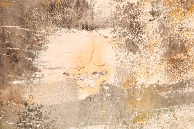 A weathered surface displays a mix of brown and gray tones highlighting the effects of erosion.