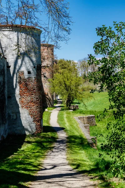 在繁茂的绿色乡村 小路穿过两条古老的圆形砖塔 旁边是一条排水沟 — 图库照片