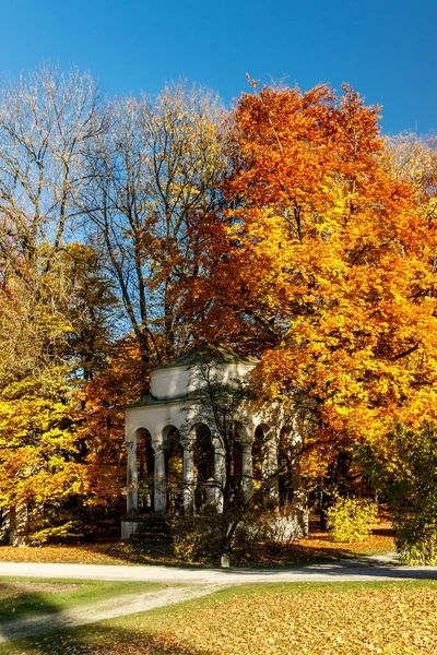 Bunte Gelbe Blätter Einer Buche Herbst Beschatten Einen Kleinen Pavillon — Stockfoto