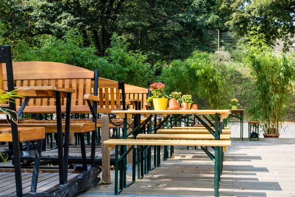 一排排的成人和儿童大小空桌子和板凳在户外咖啡馆包围绿色的植物 — 图库照片