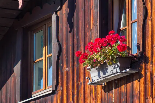 Bunte Rote Geranien Fensterkasten Auf Einer Holzhütte Oder Einem Haus — Stockfoto