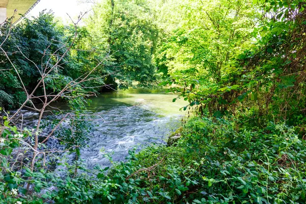 Schnell Fließender Fluss Sattgrünem Wald Zwischen Dem Laub Der Sträucher — Stockfoto