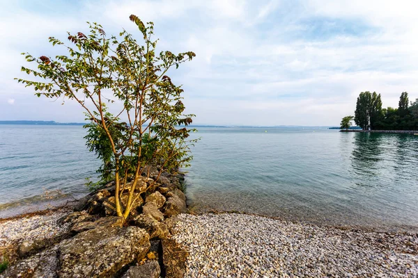 Jasny Gorący Letni Dzień Nad Jeziorem Parku Narodowym Szwajcarii — Zdjęcie stockowe