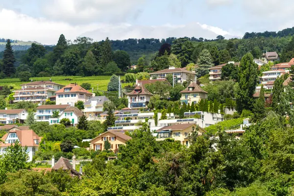 田舎の背景を持つ緑豊かな丘の上の家や家を風光明媚に眺める — ストック写真