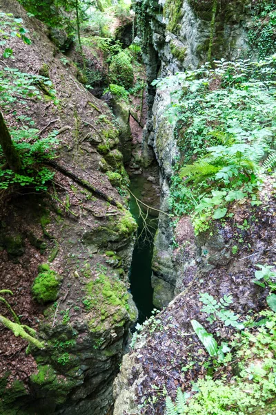 Narrow Deep Crevasse Rocks Covered Moss Leafy Green Foliage Viewed — Stock Photo, Image