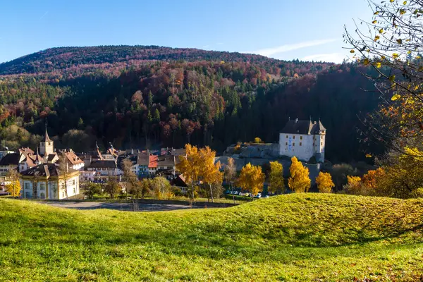 Szenische Ansicht Der Historischen Burg Mit Wald Hintergrund Neuchatel Schweiz — Stockfoto
