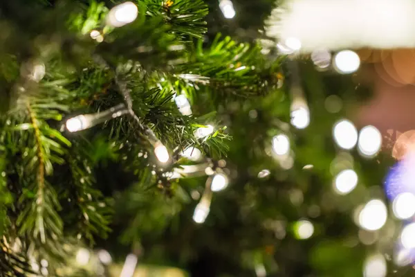 Twinkling White Strands Decorative Christmas Lights Green Tree Celebrate Seasonal — Stock Photo, Image
