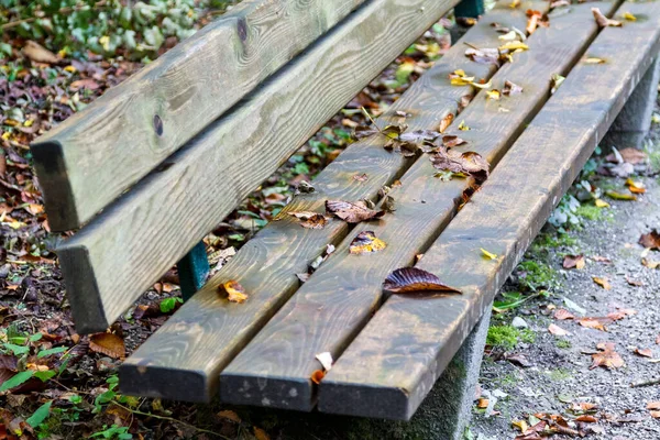 Осенние Листья Деревянной Скамейке Парке — стоковое фото
