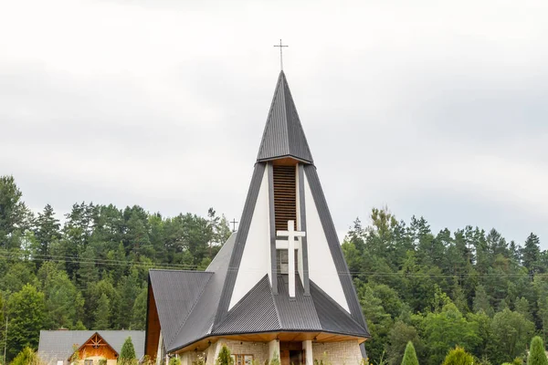 除了在灰蒙蒙的天空下的风景秀丽的森林地区外 乡村教堂漂亮的尖顶 — 图库照片