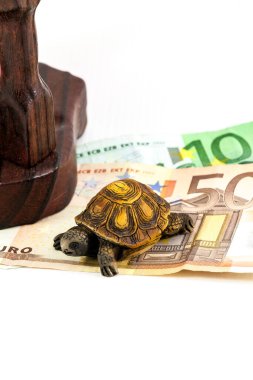 Bir kutu kaplumbağa para arka planında yol alır.
